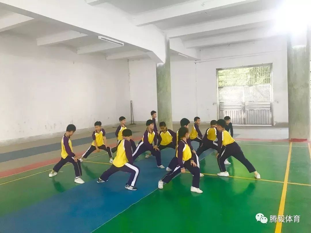 珠海市游泳队_珠海斗门游泳全国冠军_珠海游泳比赛成绩