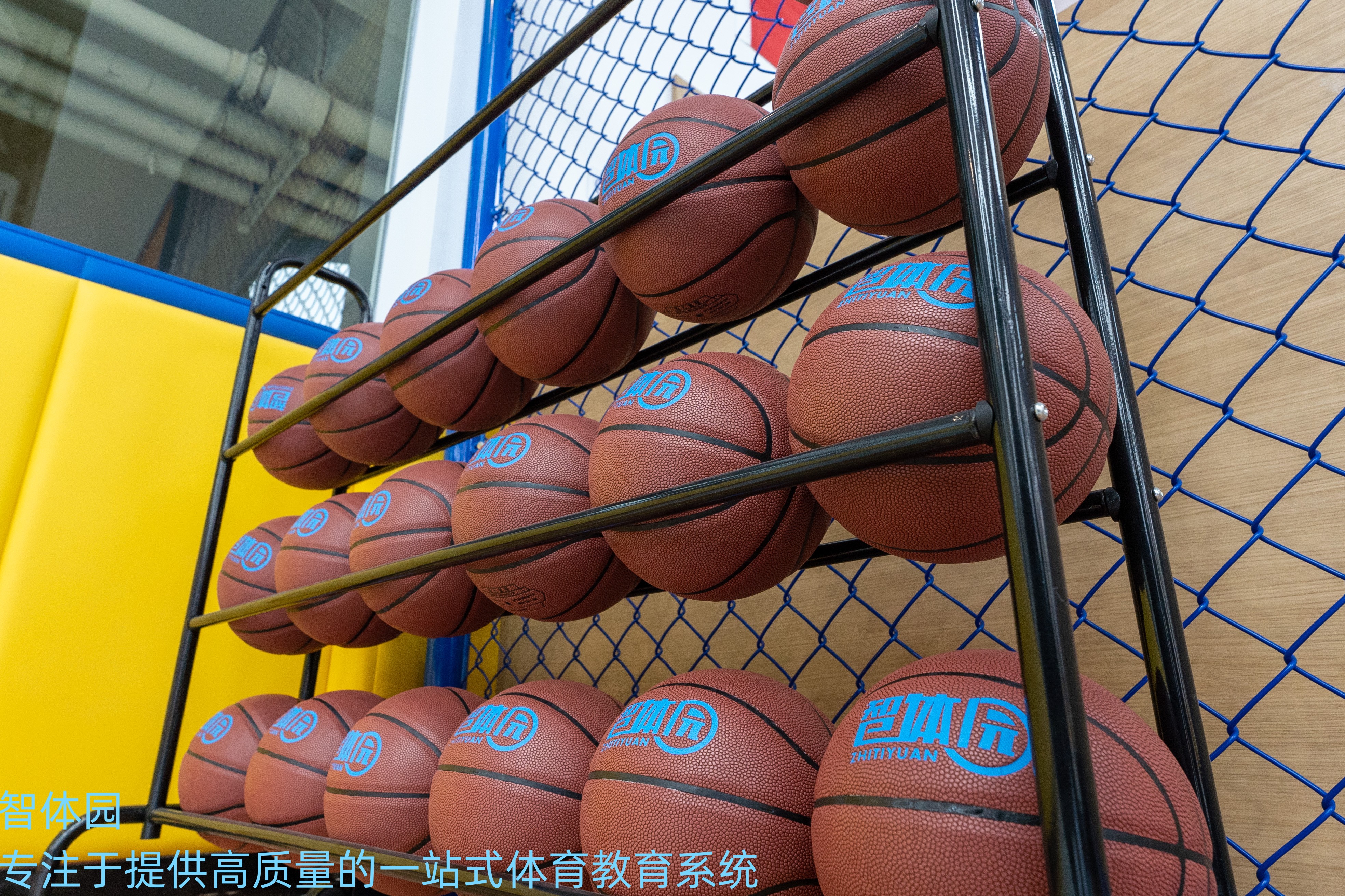 篮球规则篮球规则_篮球规则球基本用法有哪些_篮球用球的基本规则
