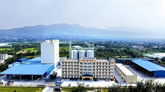冠军篮球馆_冠军篮球训练营_牛场村篮球冠军是谁