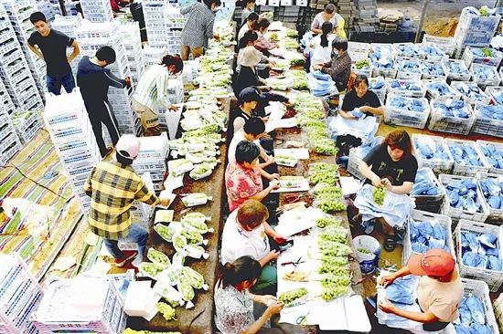 冠军篮球训练营_牛场村篮球冠军是谁_冠军篮球馆