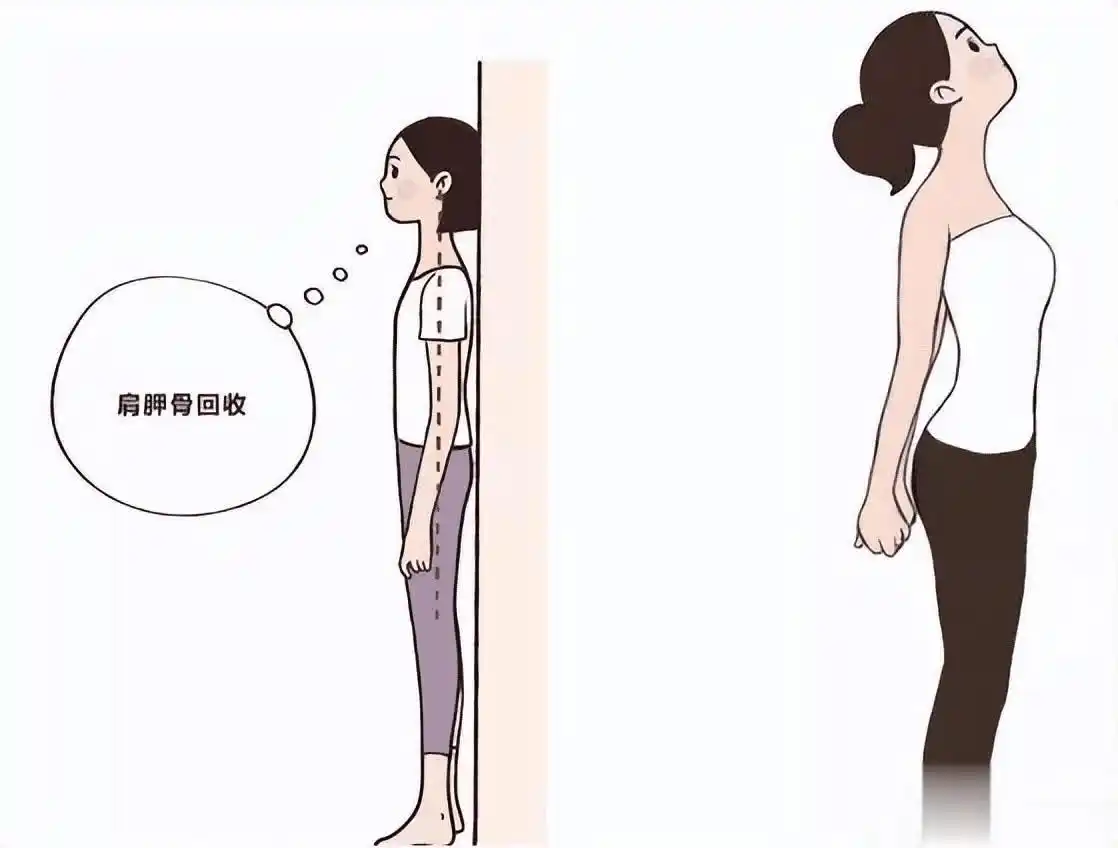 女生健身房塑形运动_女性健身房塑形多久有效果_健身房女性塑形最佳运动
