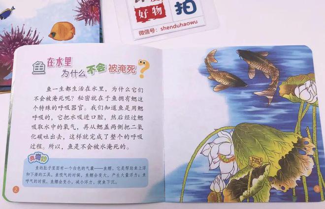 小孩生活百科书籍_百科书对孩子的好处_儿童生活百科全知道书籍