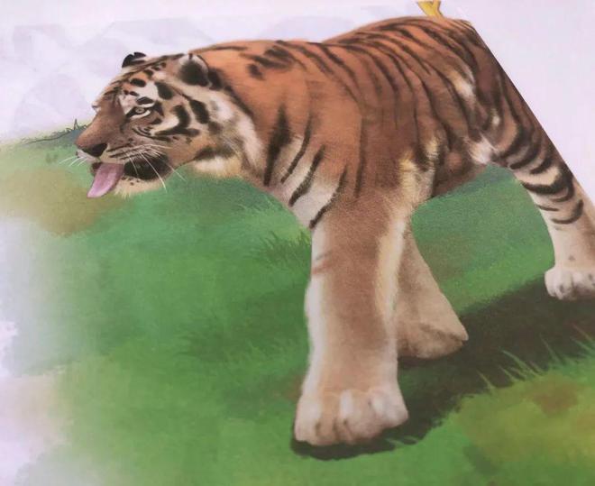 儿童生活百科全知道书籍_百科书对孩子的好处_小孩生活百科书籍