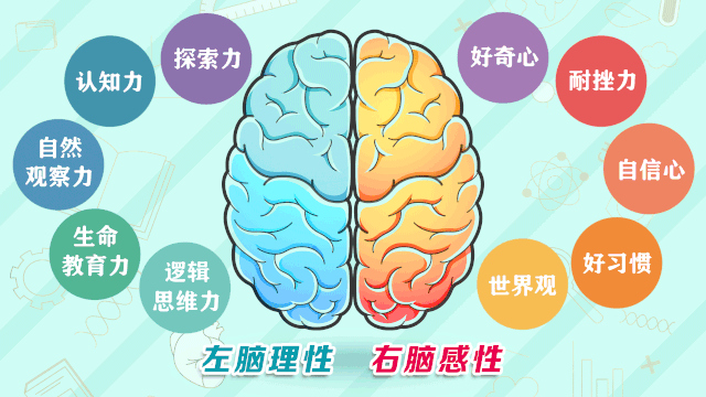 儿童生活百科全知道书籍_百科书对孩子的好处_小孩生活百科书籍